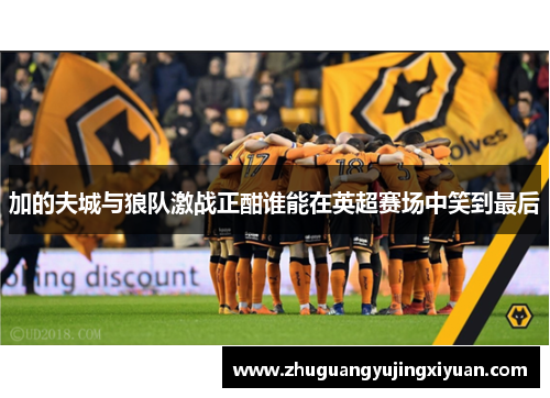 加的夫城与狼队激战正酣谁能在英超赛场中笑到最后